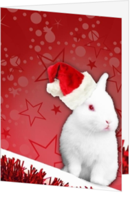 Tiere - Weihnachtskarte white christmas rabbit, rh