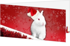 Tiere - Weihnachtskarte white christmas rabbit, ll