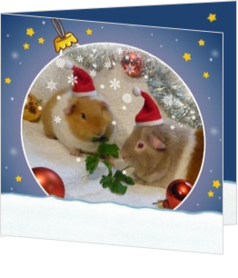 Tiere - weihnachtskarte mit hamster, vk